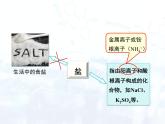 人教版初中 九年级化学 下册 第十一单元 课题1  生活中常见的盐教案+课件