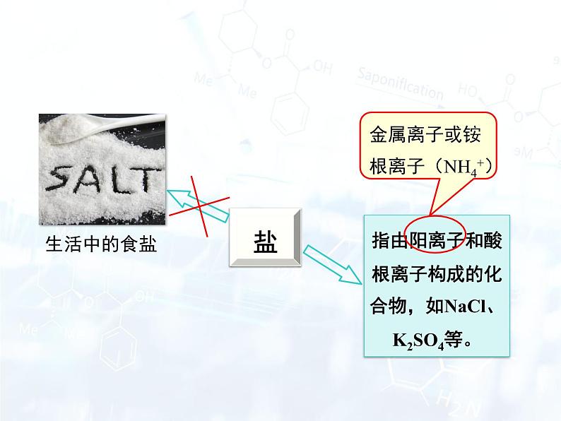 人教版初中 九年级化学 下册 第十一单元 课题1  生活中常见的盐教案+课件03