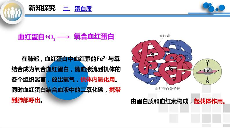 课题1《人类重要的营养物质》课件PPT+教学设计+同步练习07