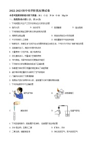 河南省洛阳市第二外国语学校2022-2023学年九年级上学期期中化学试题(含答案)