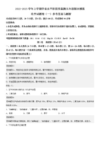 2022-2023学年上学期学业水平阶段性监测九年级期末模拟 化学试题卷（一)