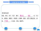 沪教版九年级化学上第5章金属的冶炼与利用基础实验4常见金属的性质习题课件