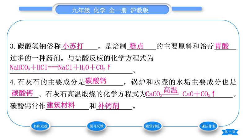 沪教版九年级化学下第7章应用广泛的酸、碱、盐第3节几种重要的盐第2课时几种常见的盐习题课件07