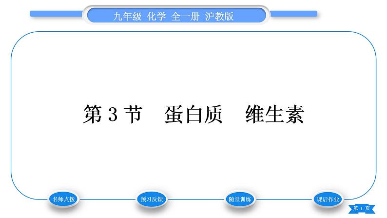 沪教版九年级化学下第8章食品中的有机化合物第3节蛋白质维生素习题课件01