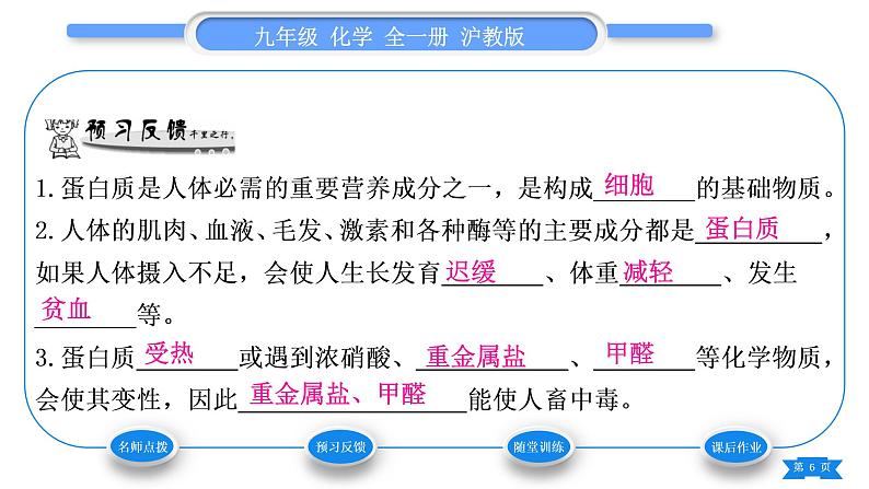 沪教版九年级化学下第8章食品中的有机化合物第3节蛋白质维生素习题课件06