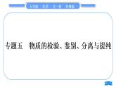 科粤版九年级化学下第八章常见的酸、碱、盐专题五物质的检验、鉴别、分离与提纯习题课件