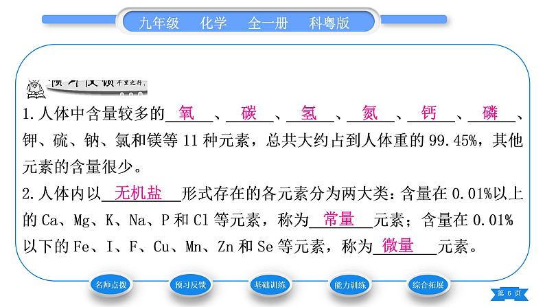 科粤版九年级化学下第九章现代生活与化学9.4化学物质与健康第1课时人体内的元素　食物中的营养素习题课件06