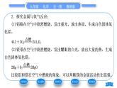 鲁教版九年级化学下第九单元金属到实验室去：探究金属的性质习题课件