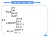 鲁教版九年级化学下第九单元金属复习与提升习题课件