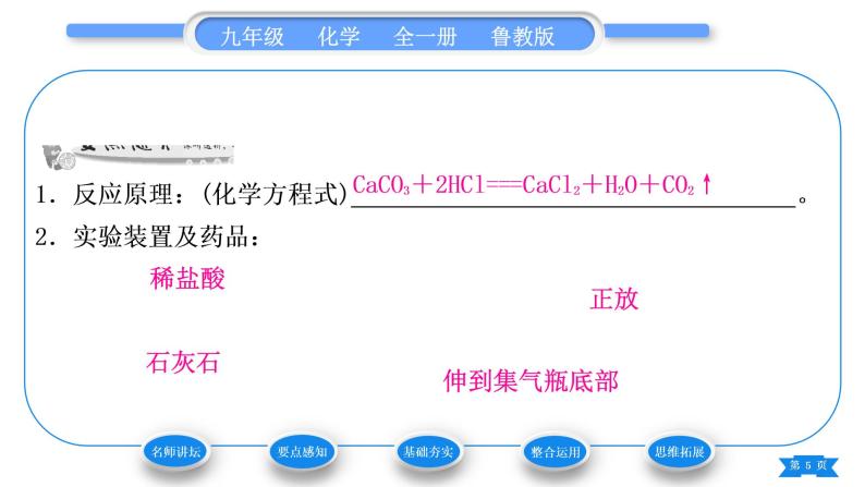 鲁教版九年级化学上第六单元燃烧与燃料到实验室去：二氧化碳的实验室制取与性质习题课件05