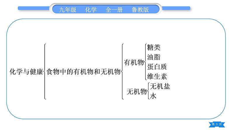 鲁教版九年级化学下第十单元化学与健康复习与提升习题课件第3页