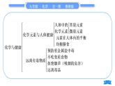 鲁教版九年级化学下第十单元化学与健康复习与提升习题课件