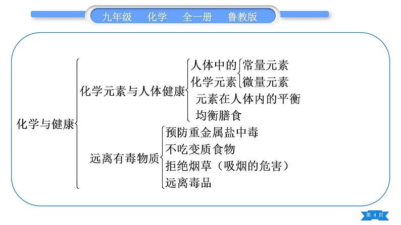 鲁教版九年级化学下第十单元化学与健康复习与提升习题课件第4页