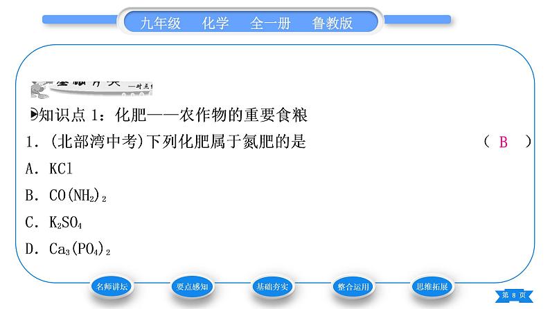 鲁教版九年级化学下第十一单元化学与社会发展第三节化学与农业生产习题课件08