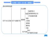 鲁教版九年级化学下第十一单元化学与社会发展复习与提升习题课件