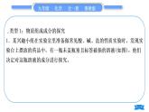 鲁教版九年级化学下第十一单元化学与社会发展专题七实验探究习题课件