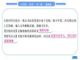 鲁教版九年级化学下第十一单元化学与社会发展专题七实验探究习题课件