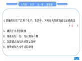 鲁教版九年级化学上单元周周测四(第三单元)习题课件