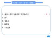 鲁教版九年级化学上单元周周测二(2.1－2.2)习题课件