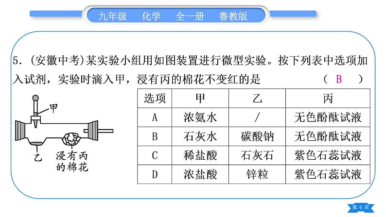 鲁教版九年级化学下单元周周测十(7.3至探究酸和碱的化学性质)习题课件第6页