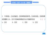 鲁教版九年级化学下单元周周测十一(8.1－8.2)习题课件
