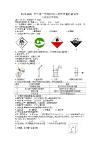 广东省东莞市南城阳光实验中学2022-2023学年九年级上学期第二次月考化学试卷