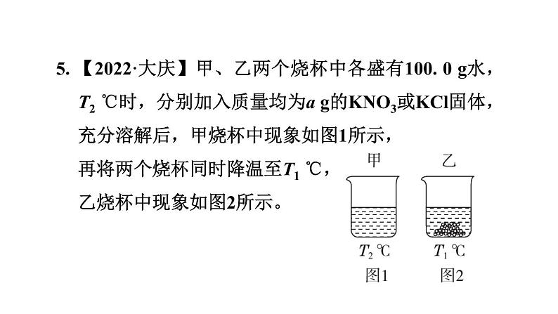 人教版九年级化学下册第九单元热门考点整合专训课件第7页