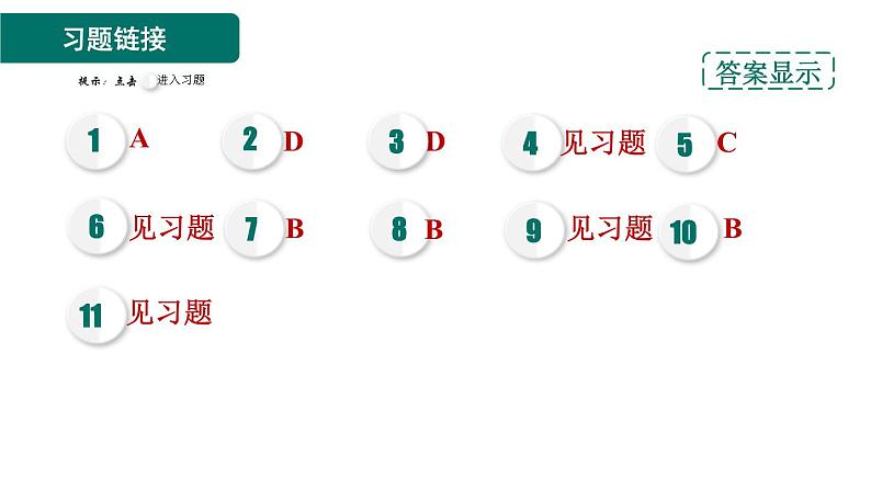 人教版九年级化学下册第十单元实验活动7　溶液酸碱性的检验课件02