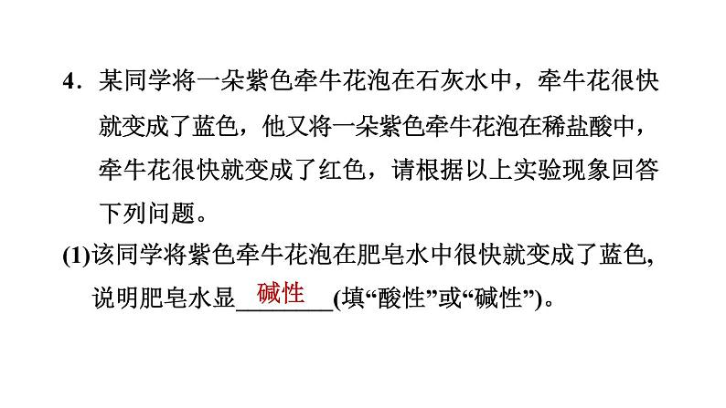 人教版九年级化学下册第十单元实验活动7　溶液酸碱性的检验课件06