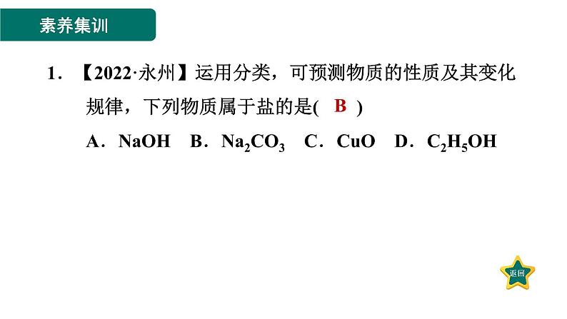 人教版九年级化学下册第十单元素养集训酸碱的概念与性质的易错易混点课件第3页