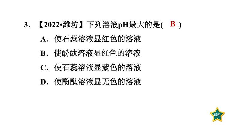 人教版九年级化学下册第十单元素养集训酸碱的概念与性质的易错易混点课件第5页