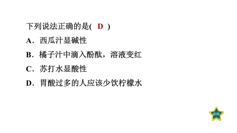 人教版九年级化学下册第十单元素养集训酸碱的概念与性质的易错易混点课件07