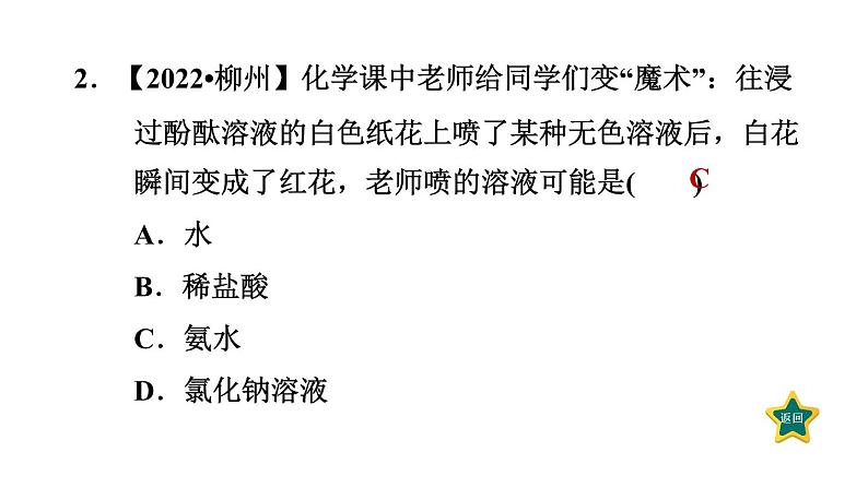 人教版九年级化学下册第十单元课件合集共9套第5页