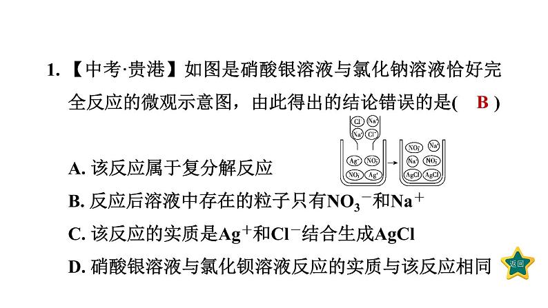 人教版九年级化学下册第十一单元素养集训复分解反应及其应用的易错易混点课件03