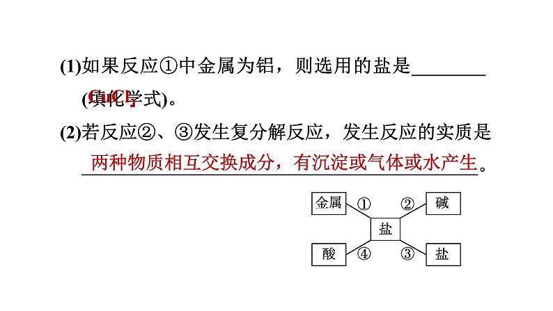 人教版九年级化学下册第十一单元热门考点整合专训课件07