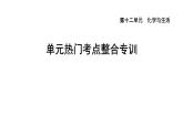 人教版九年级化学下册第十二单元热门考点整合专训课件