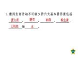 人教版九年级化学下册第十二单元课件合集共5套