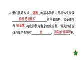 人教版九年级化学下册第十二单元课件合集共5套