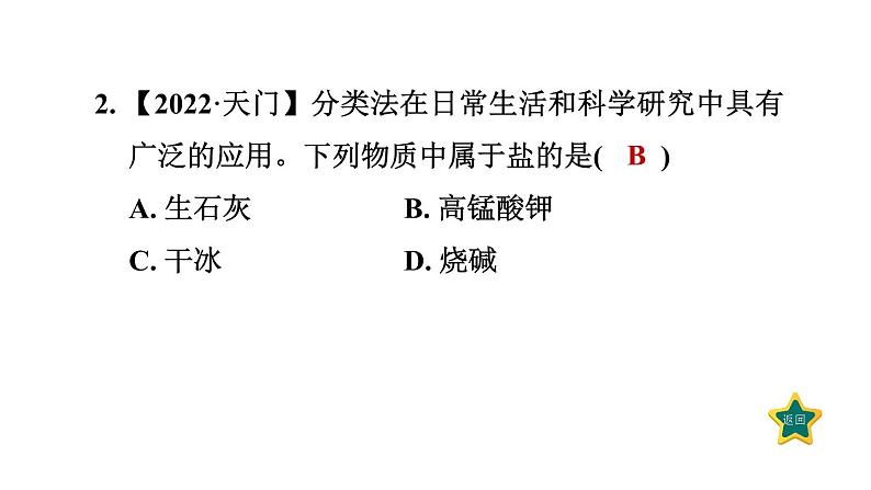 人教版九年级化学下册11-1-3盐的化学性质课件05