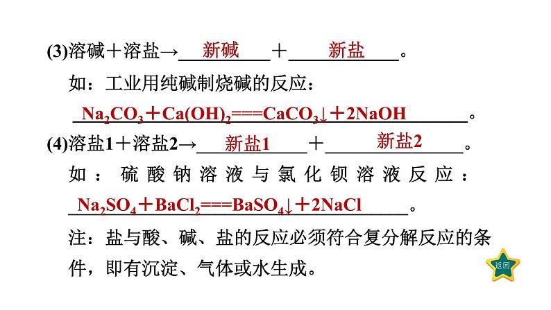 人教版九年级化学下册11-1-3盐的化学性质课件07