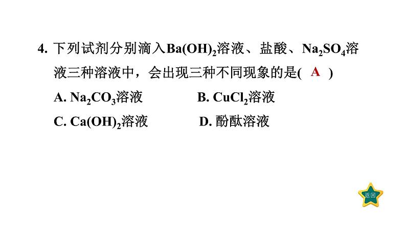 人教版九年级化学下册11-1-3盐的化学性质课件08