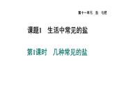 人教版九年级化学下册11-1-1几种常见的盐课件