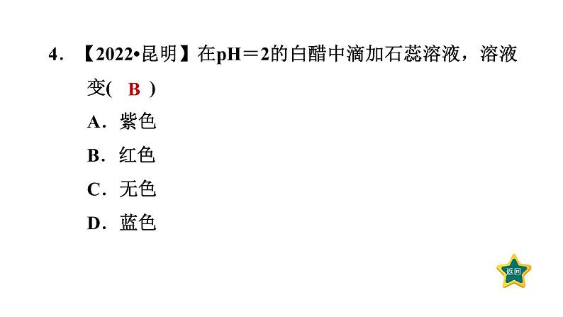 人教版九年级化学下册10-2-2溶液酸碱度的表示方法——pH课件06