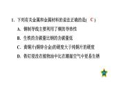 人教版九年级化学下册第八单元实验活动4金属的物理性质和某些化学性质课件