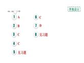 人教版九年级化学下册第十单元实验活动6酸、碱的化学性质课件