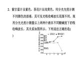 人教版九年级化学下册第十单元实验活动7溶液酸碱性的检验课件