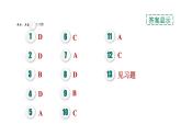 人教版九年级化学下册第十二单元考前基础练四【第1～12单元】课件