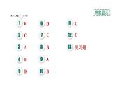 人教版九年級化學(xué)下冊第十二單元考前基礎(chǔ)練五【第1～12單元】課件