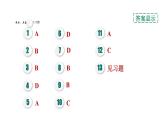 人教版九年級化學(xué)下冊第十二單元考前基礎(chǔ)練六【第1～12單元】課件