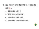 人教版九年級化學(xué)下冊第十二單元考前基礎(chǔ)練七【第1～12單元】課件